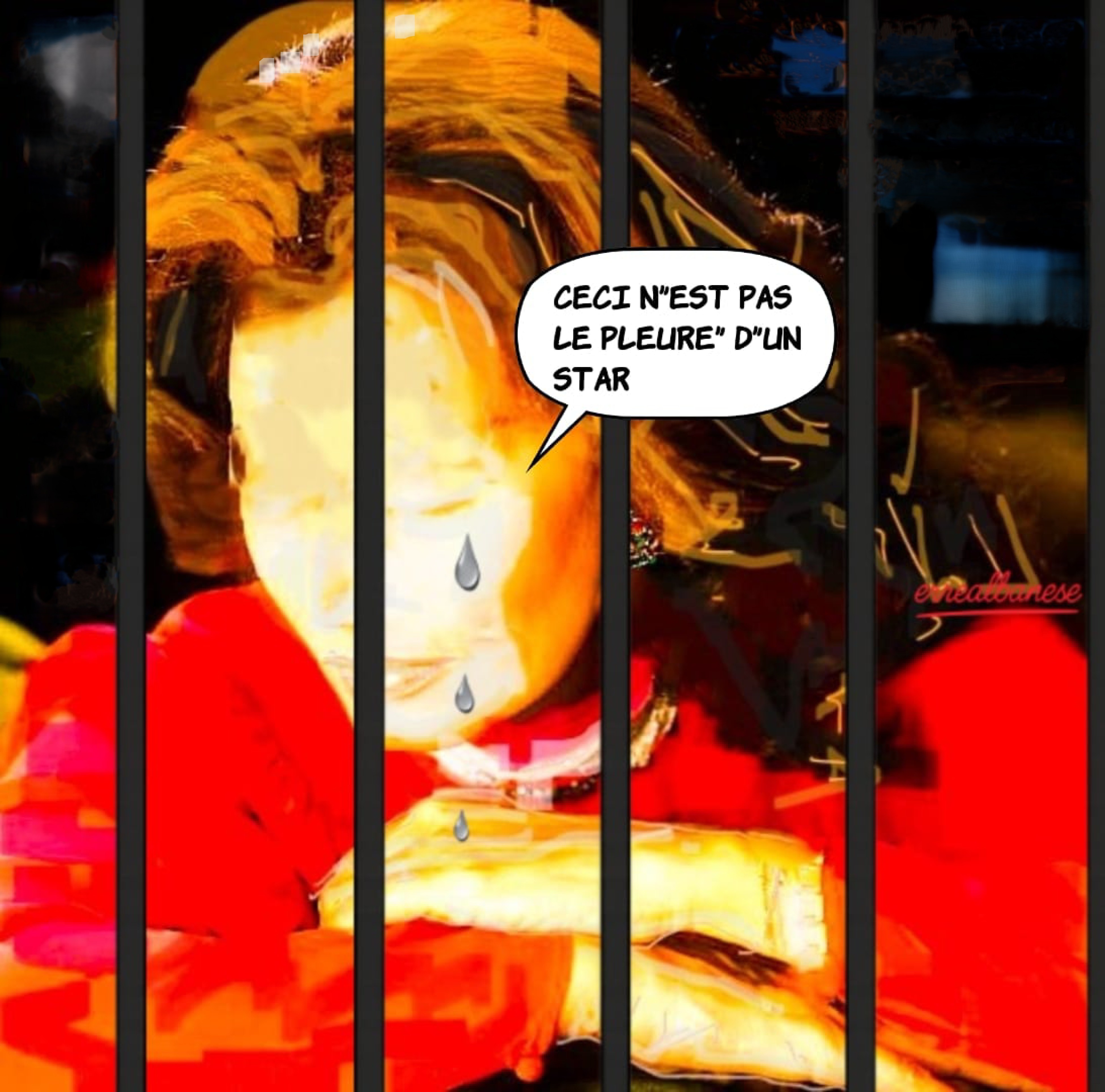 "CECI N’EST PAS LE PLEURE D’UN STAR"