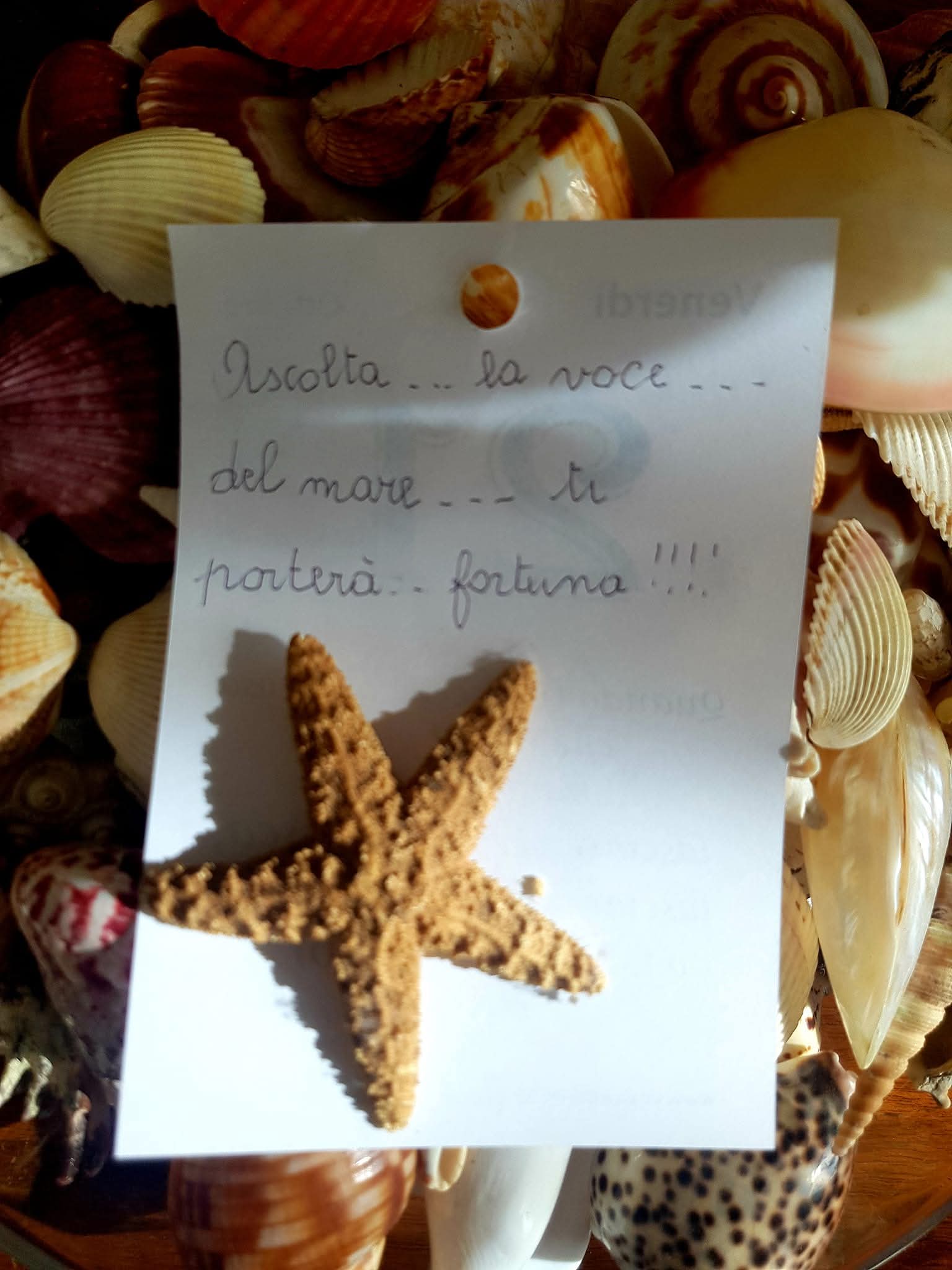 Stella di Giovanna
