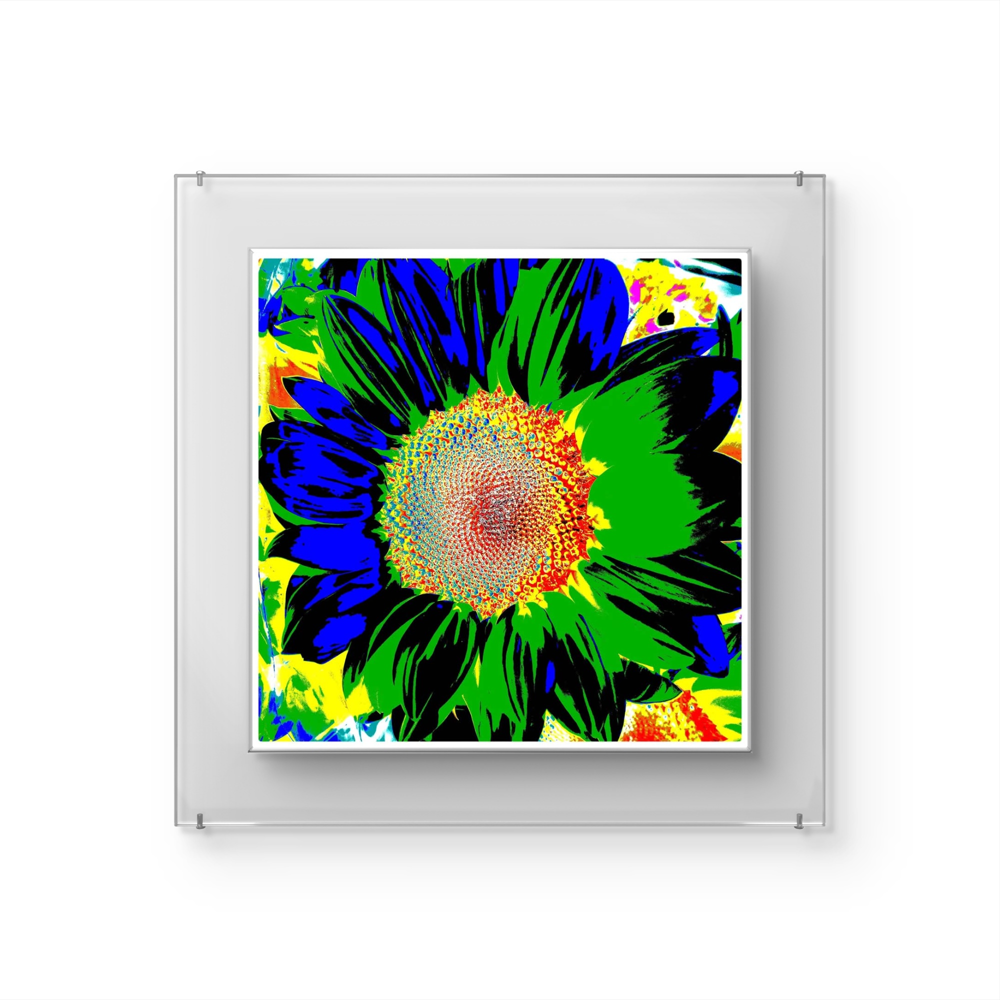 Il girasole