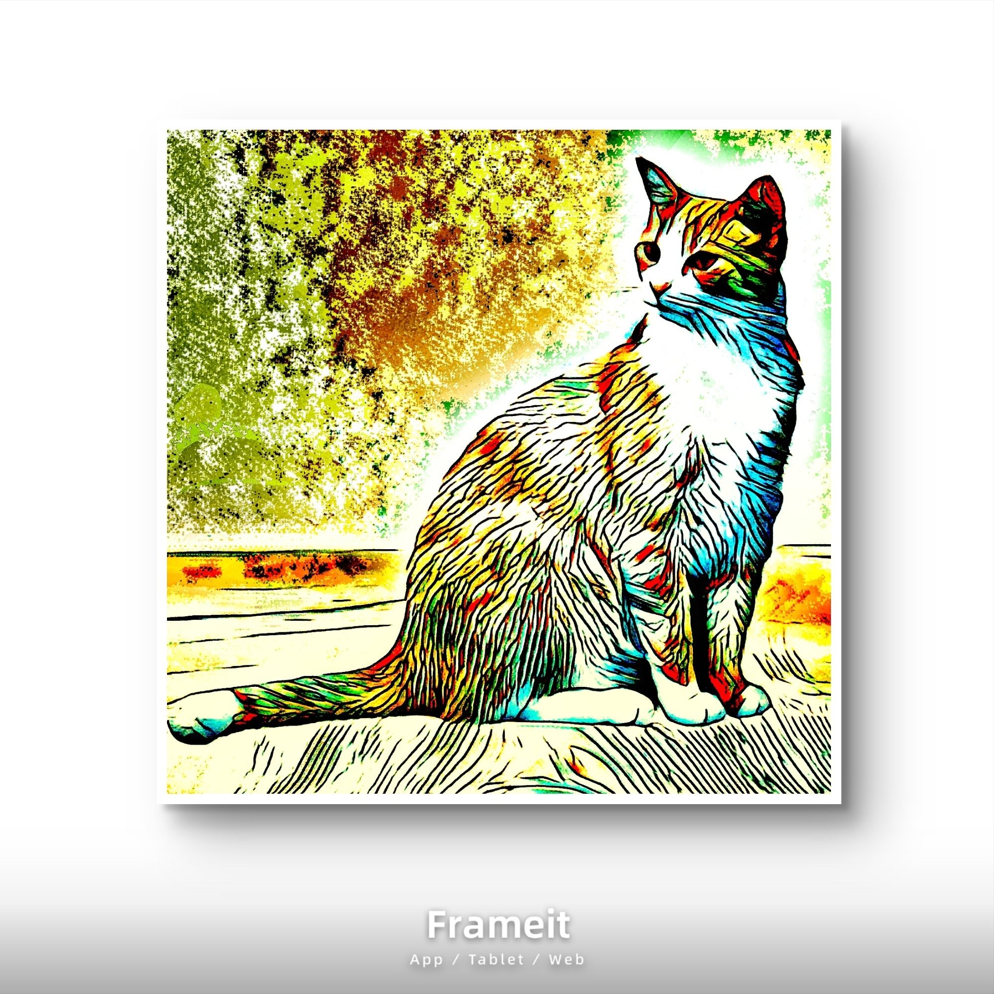 Il gatto del vicino