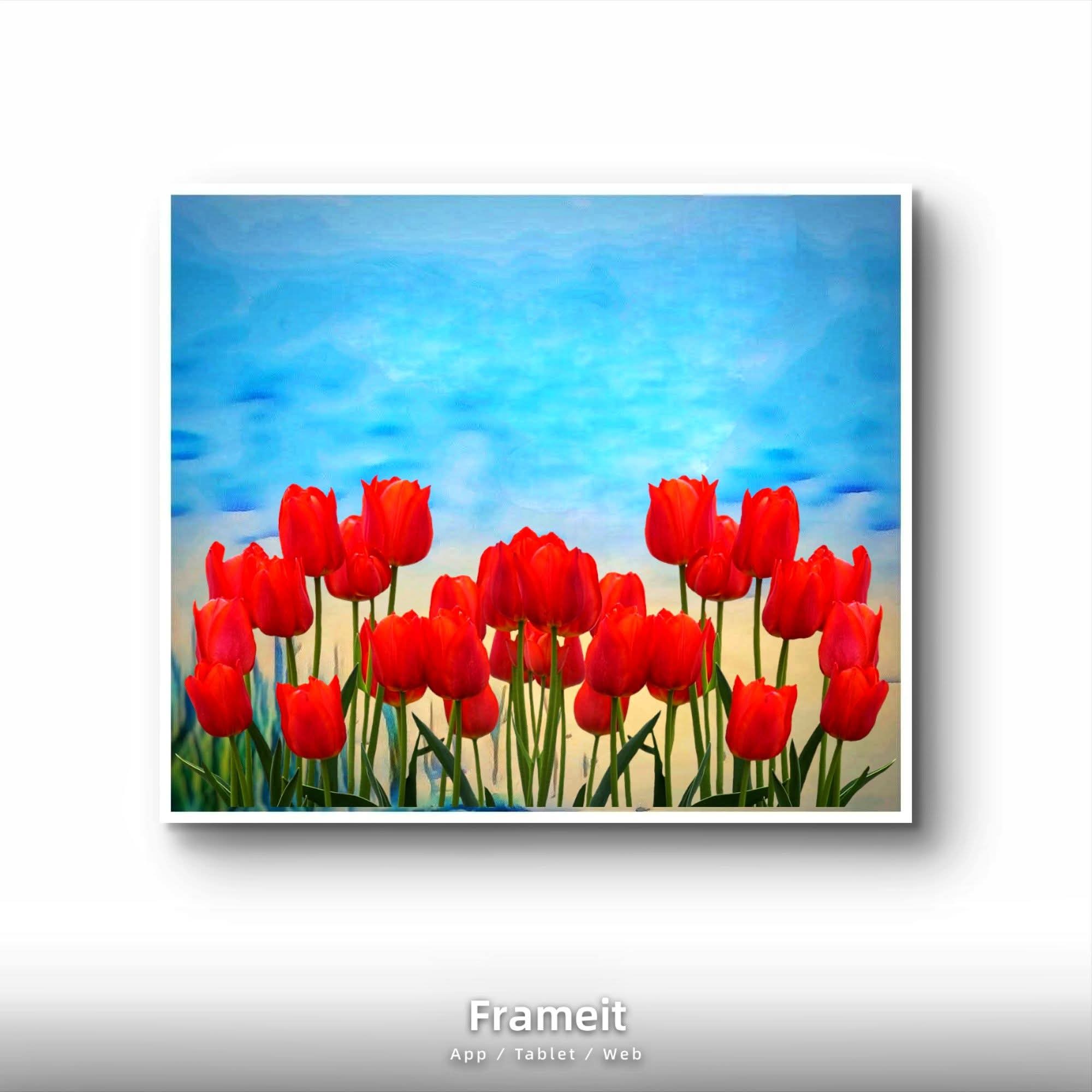 Il paese dei tulipani