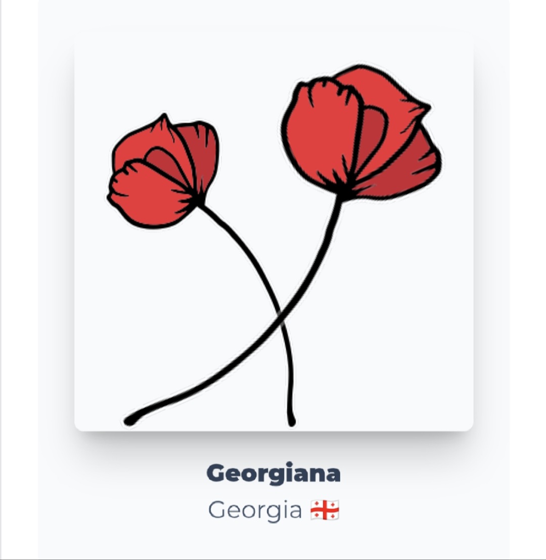 Two Poppies at the Crossroads