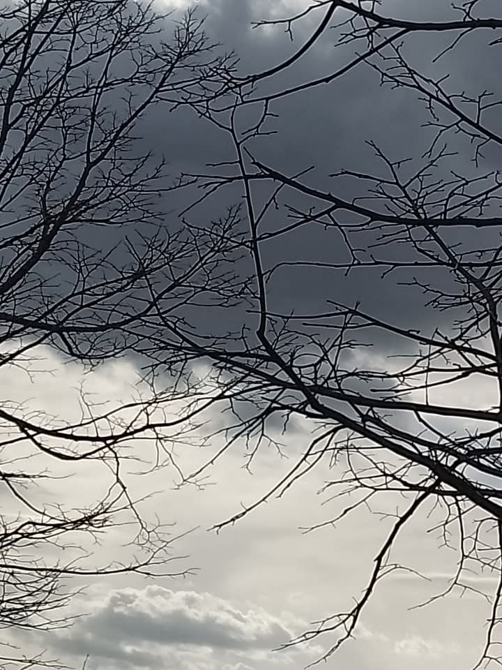 Cielo infinito 2