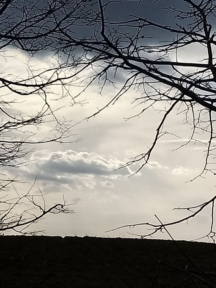 Cielo infinito 3