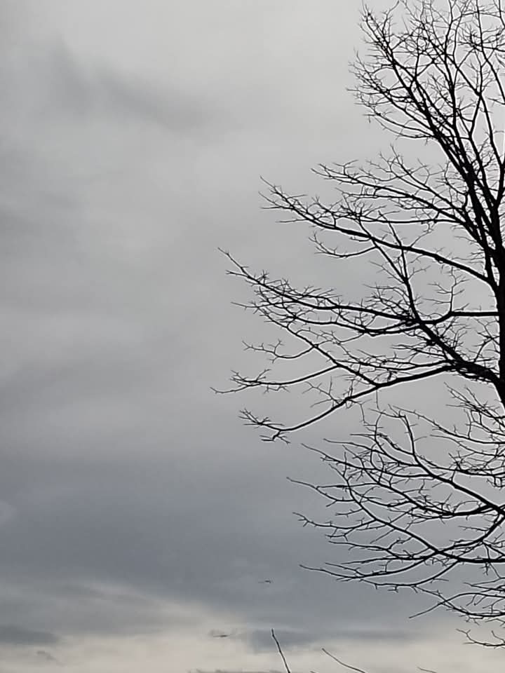 Cielo infinito 6
