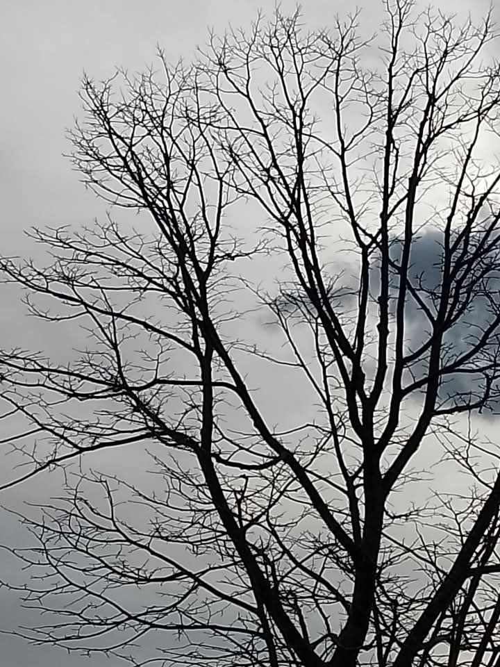 Cielo infinito 7