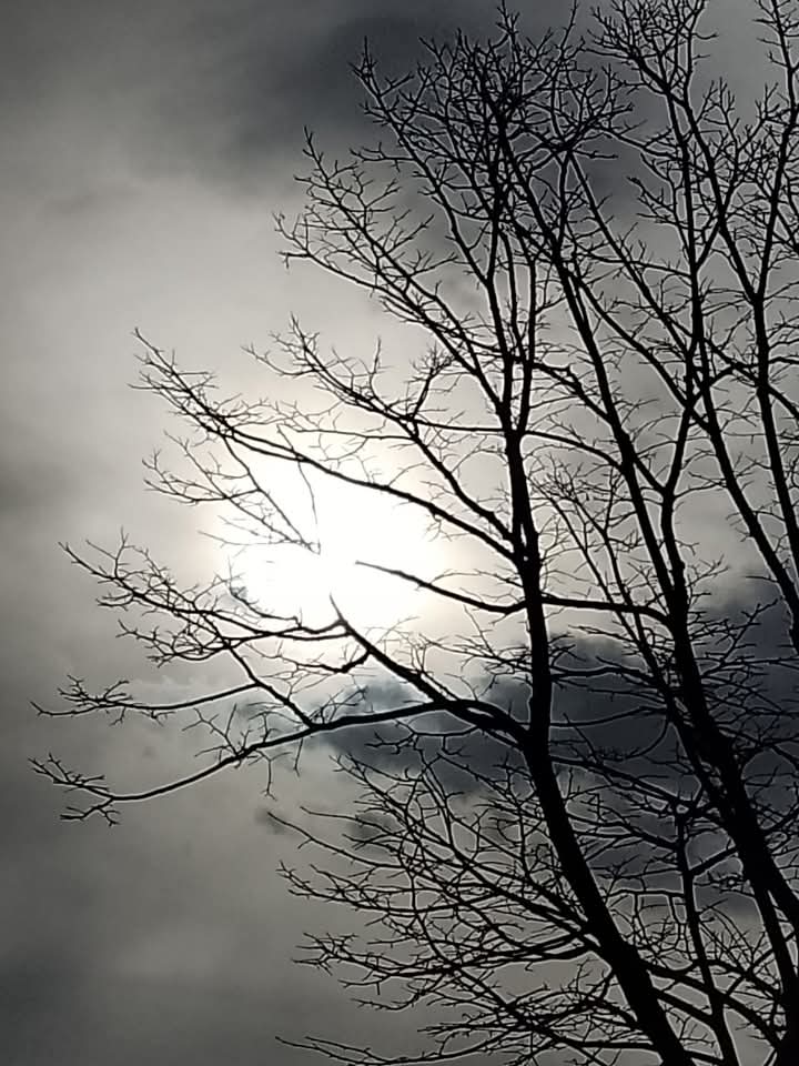 Cielo infinito 9