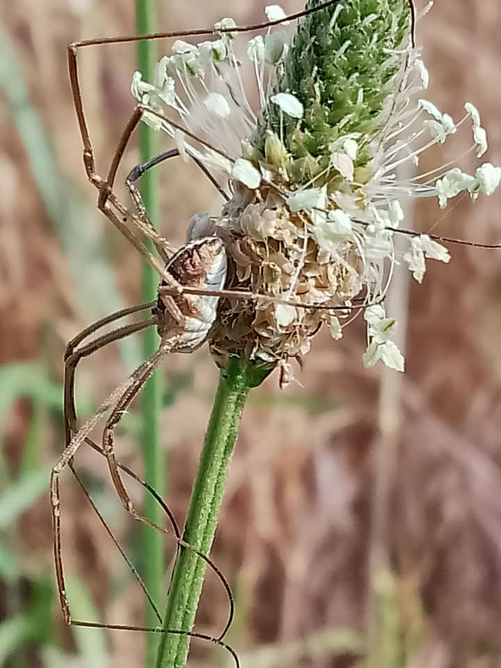 Nature 2